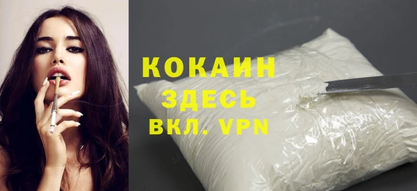 твердый Вяземский