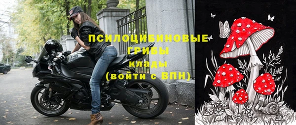 твердый Вяземский