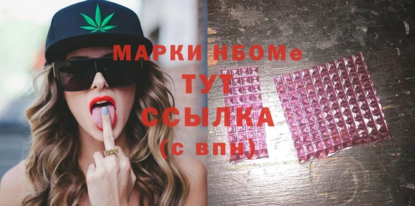 твердый Вяземский