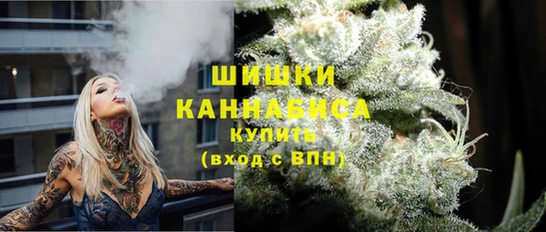 твердый Вяземский