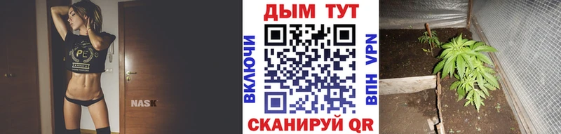 Каннабис марихуана  hydra сайт  Пласт 